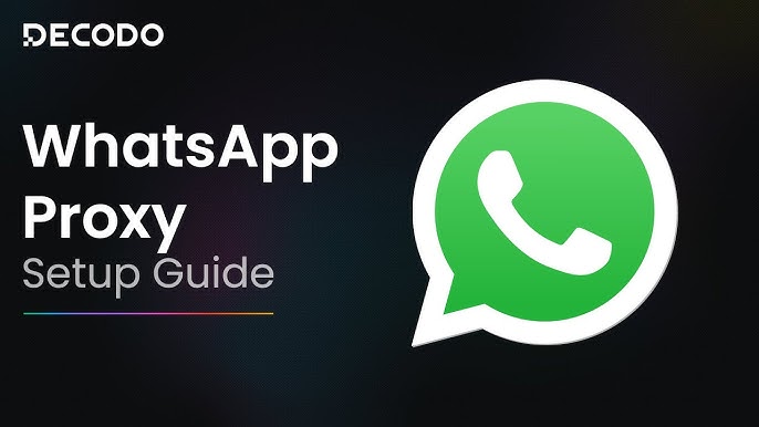 WhatsApp在线状态与最后上线时间如何提升精准营销效果?