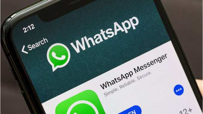 采集WhatsApp在线状态数据:WhatsApp采集器能准确获取吗?
